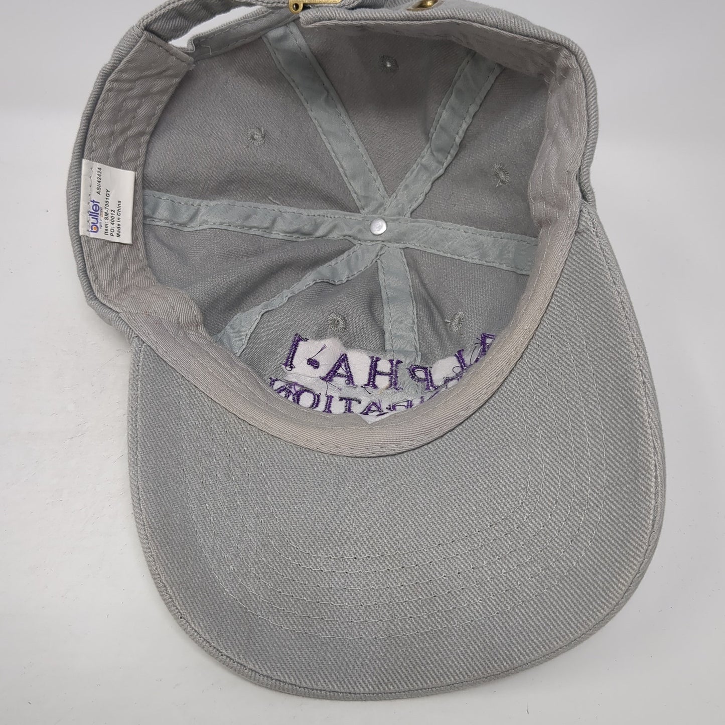 Alpha-1 Foundation Research For A Cure Baseball Cap Gray OS Adjustable Bullet