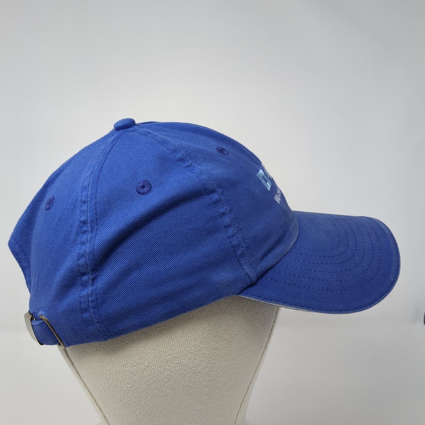 O-BASF We Create Chemistry Slideback Hat Blue One Size Adjustable Embroidered