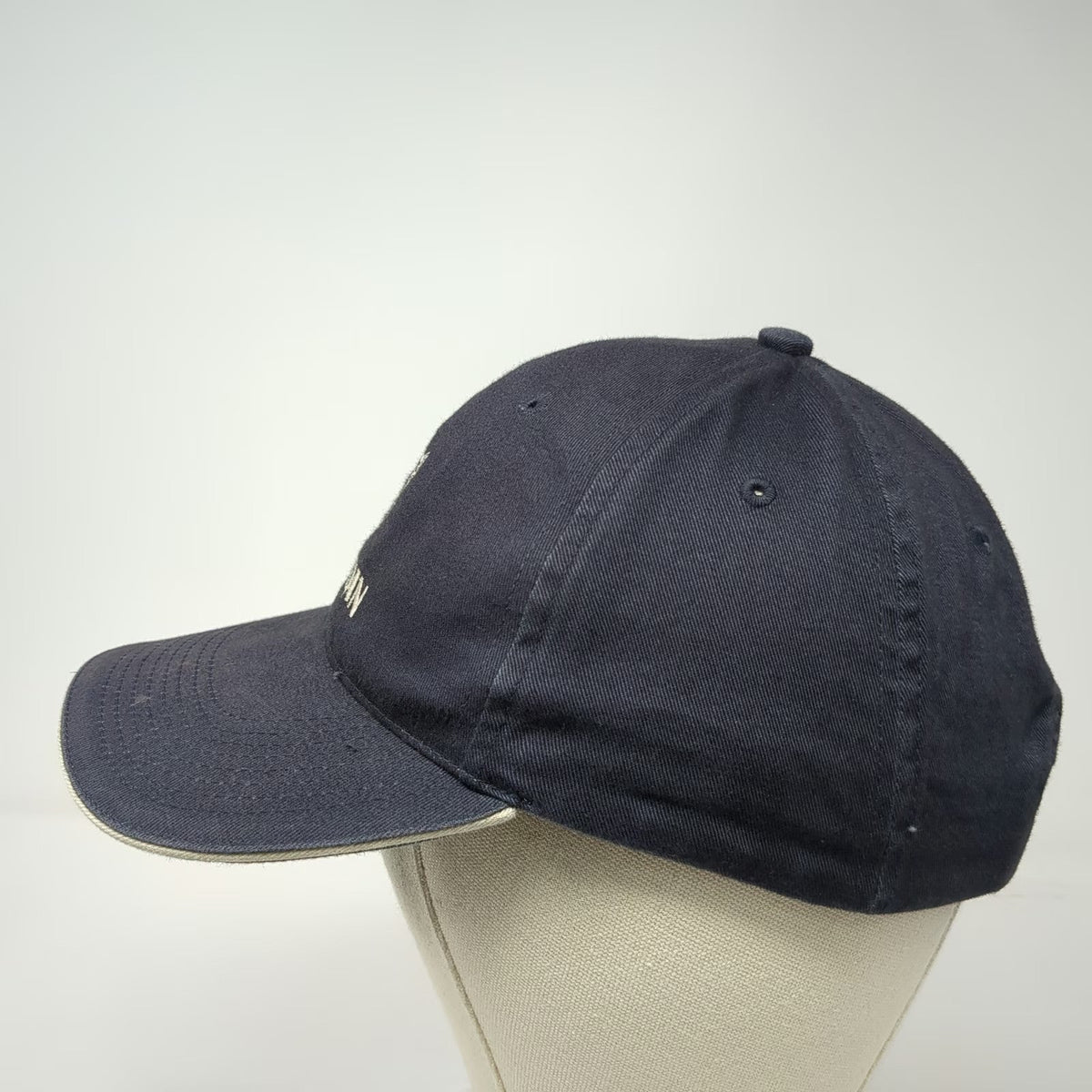 Vitronic Baseball Cap Blue One Size Palladin Knight Embroidered Strapback Hat