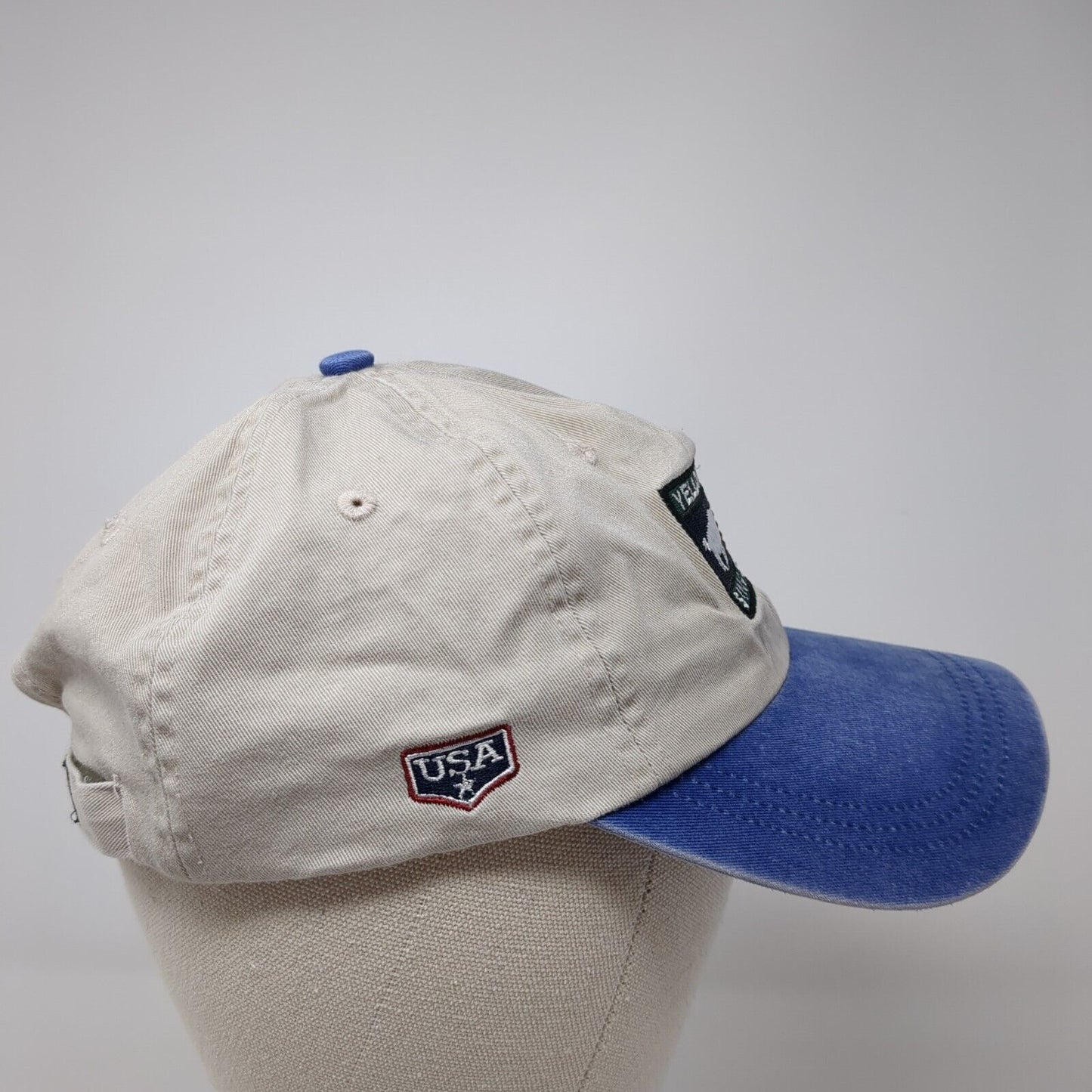 Yellowstone Since 1872 Strapback Hat Multi OSFA Embroidered Ahead