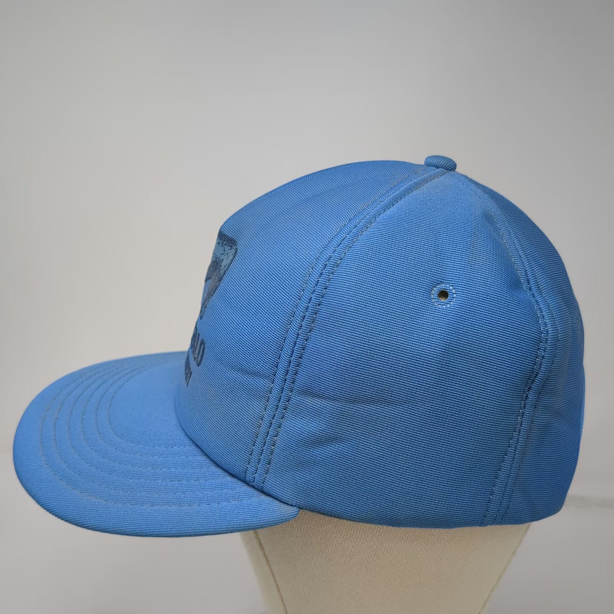 Challenger 5 Panel Blue One Size American Beefalo World Registry Snapback Hat