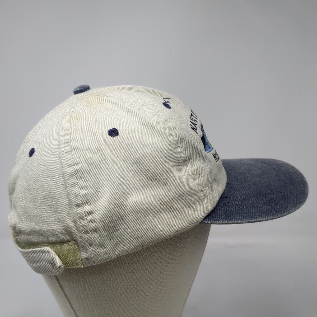 SCI Baseball Cap Beige Blue One Size Nantahala River Whitewater NC Souvenir Hat