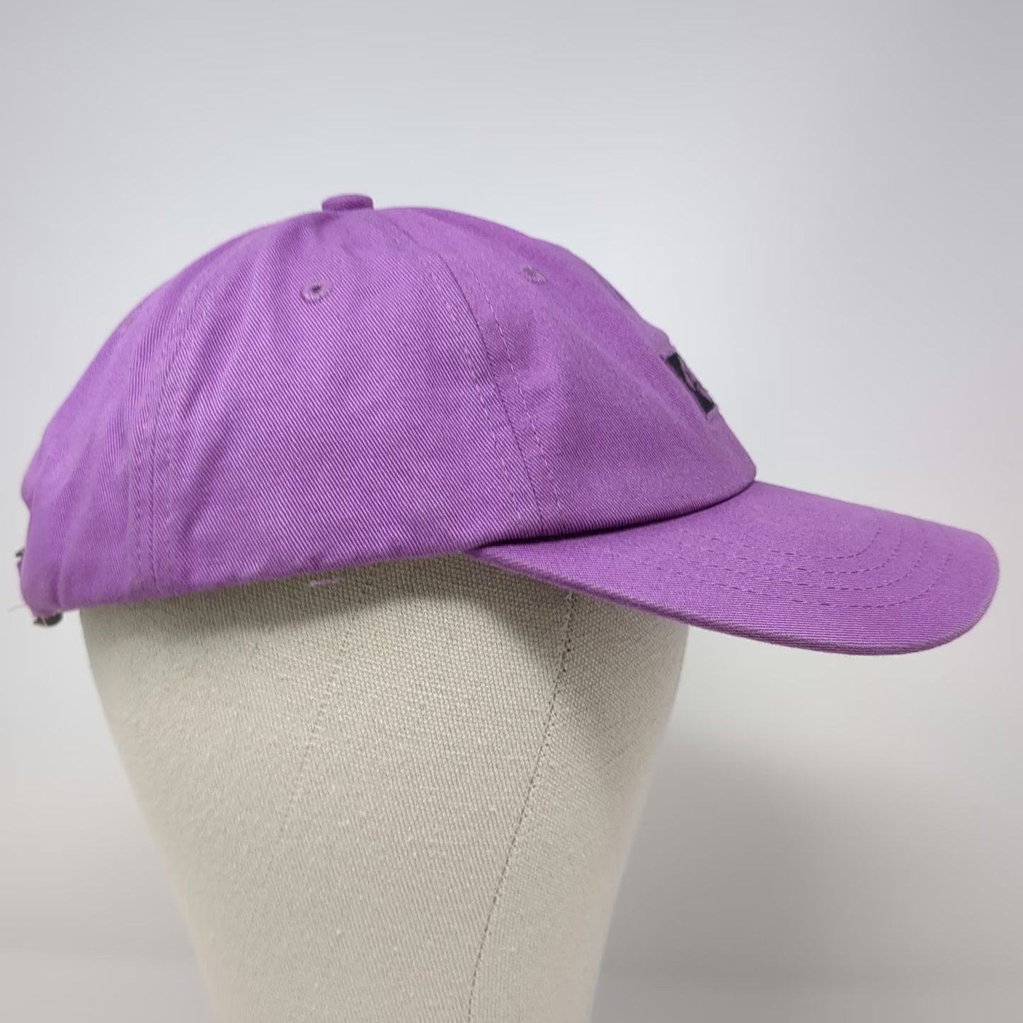 American Eagle Outfitters Baseball Cap Purple One Size Slideback Hat Cotton