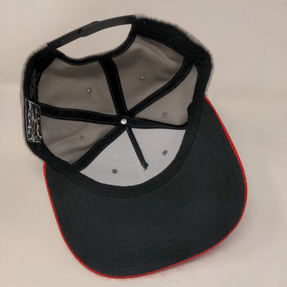 Nintendo NES Controller Snapback Hat Multi OSFM Adjustable Colorblock