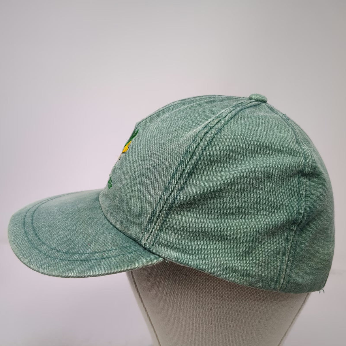 AJM Torino Air Duck Mascot Green Baseball Cap One Size Leather Strap Hat