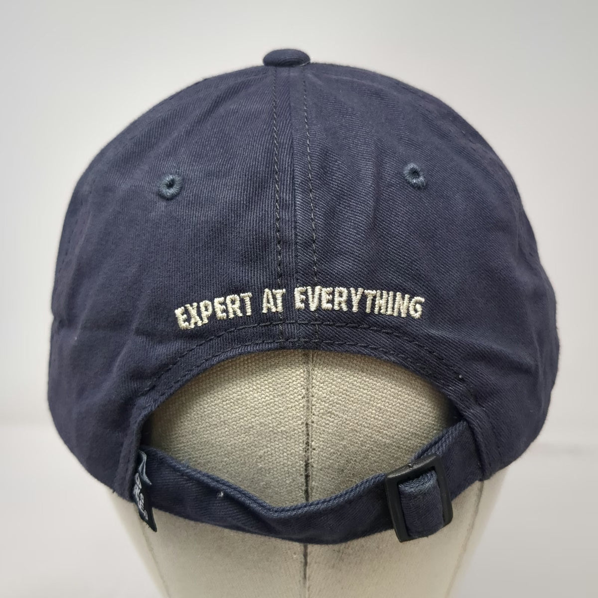 Old Guys Rule Baseball Cap Blue One Size Expert at Everything Adjustable Hat
