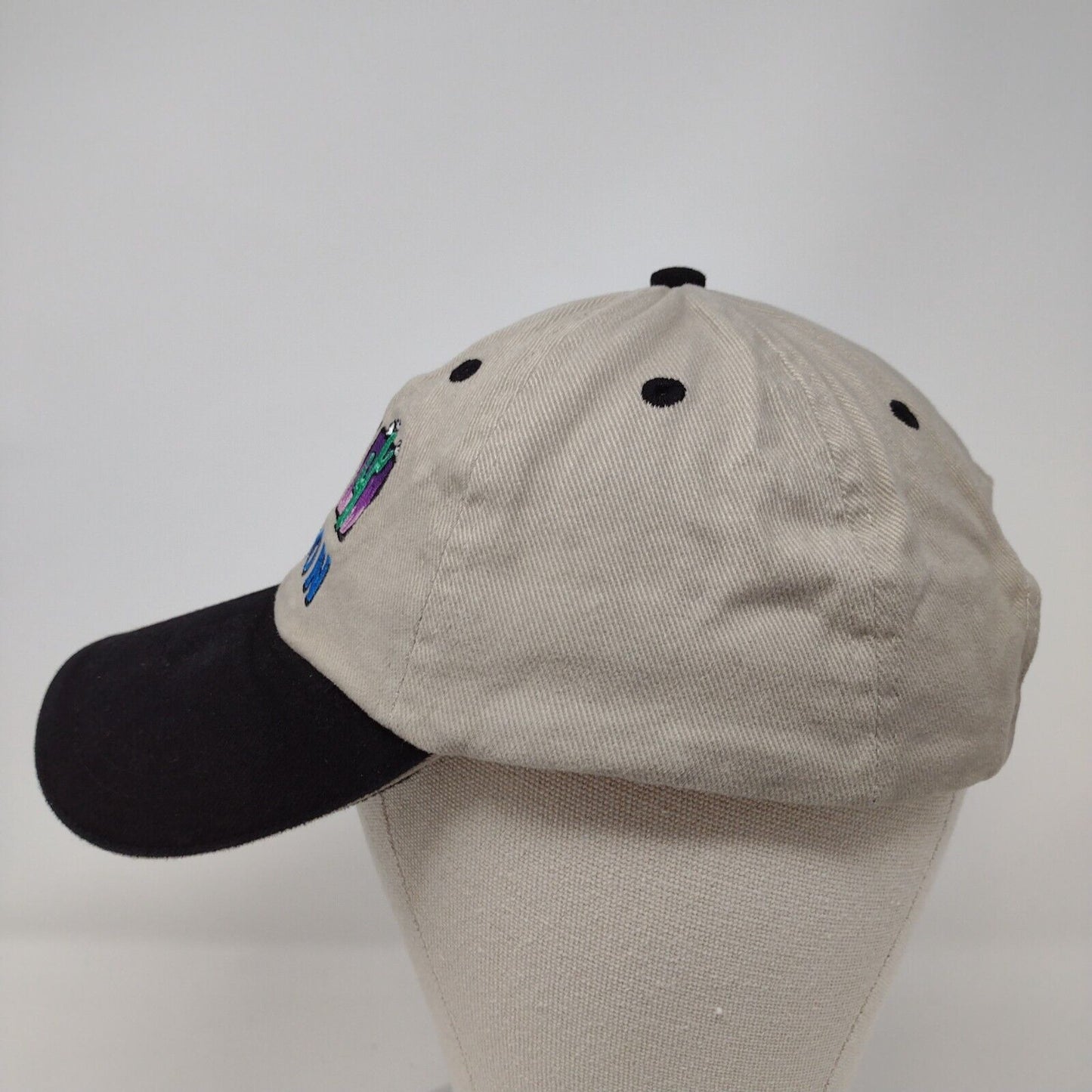 Cactus Tucson Slideback Hat Multi OSFM Embroidered Colorblock 6 Panel