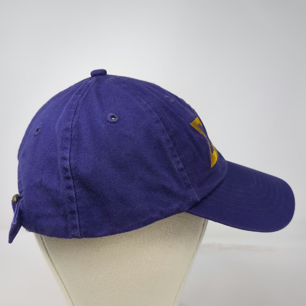 Purple Yellow Baseball Cap One Size Slideback SAE Sigma Alpha Epsilon Hat Cotton