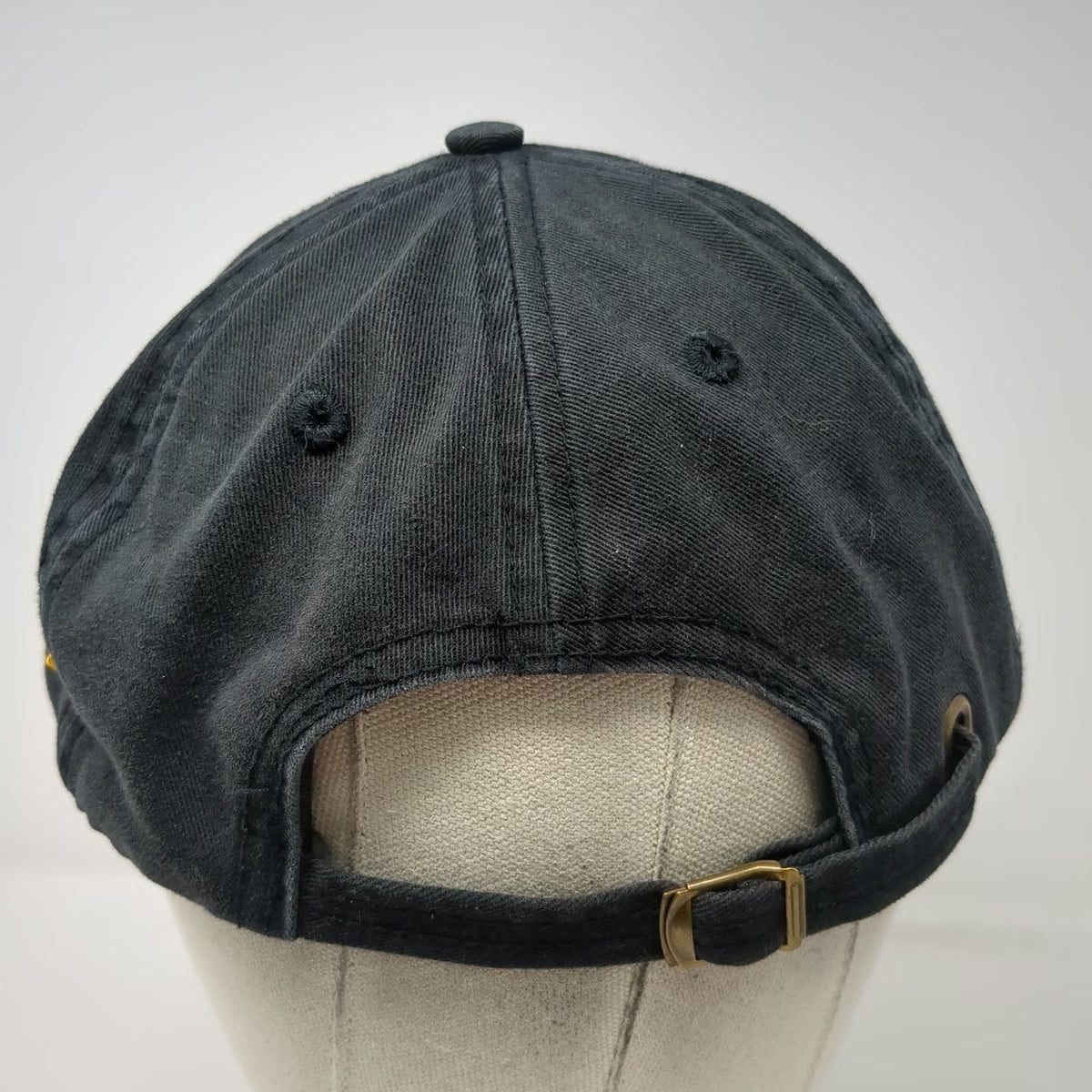 Alternative Baseball Cap Black One Size AHA American Homebrewers Association Hat