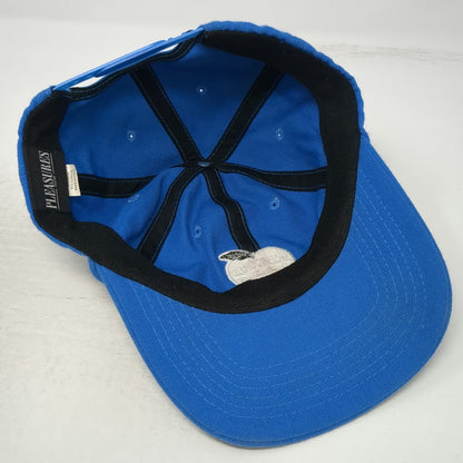 Pleasures Snapback Blue One Size Fruits of Imagination Apple Wool Blend Hat