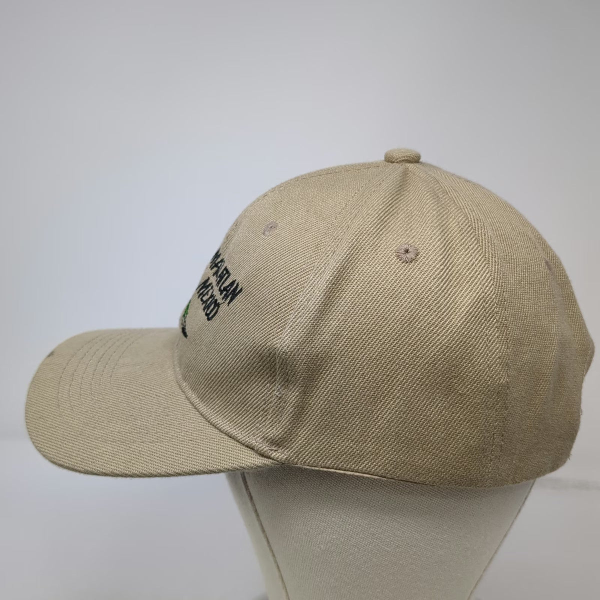 Baseball Cap Beige One Size Mazatlan Mexico Lizard Embroidered Strapback Hat