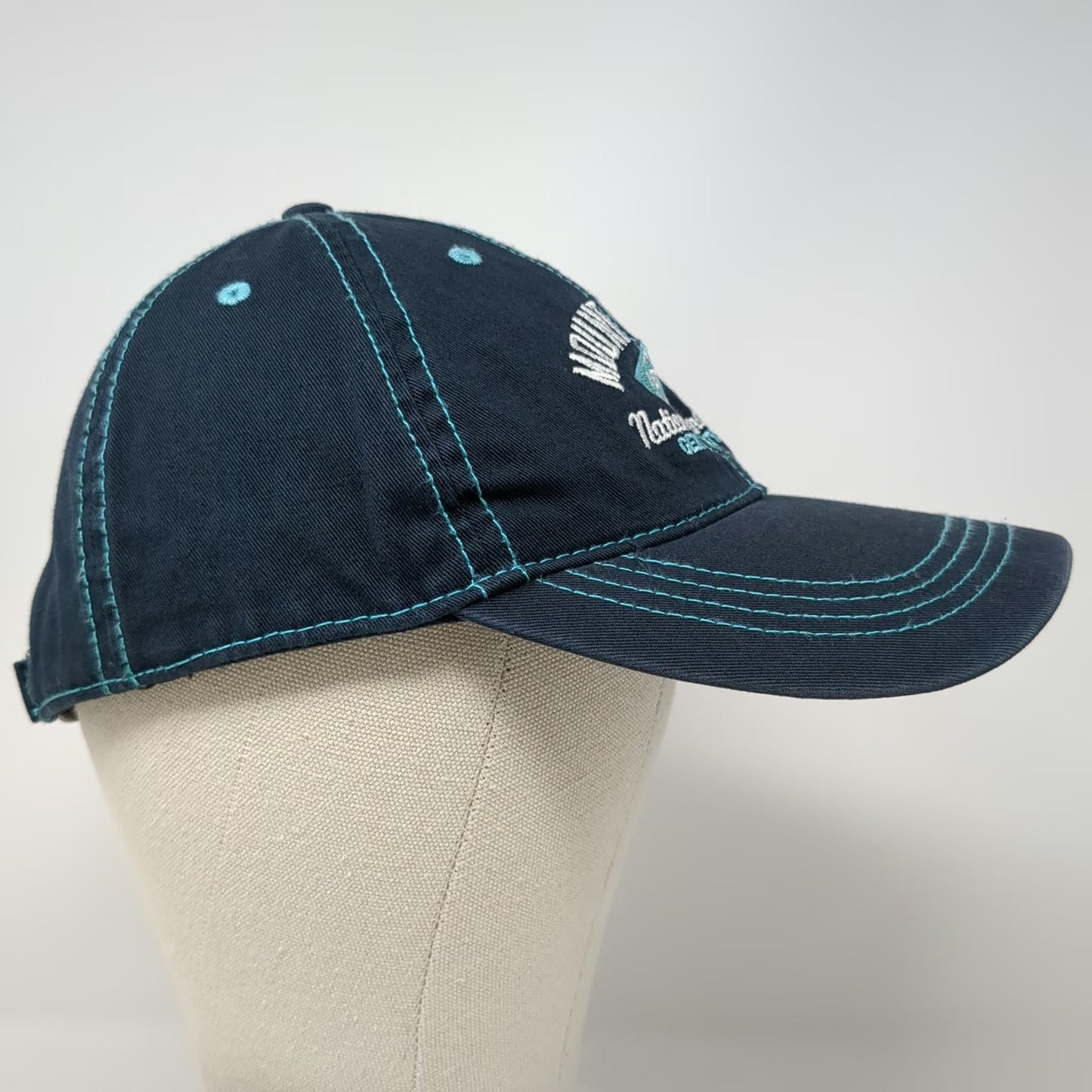 Prairie Mountain Blue One Size Baseball Cap Hat Mount Vernon Contrast Stitch