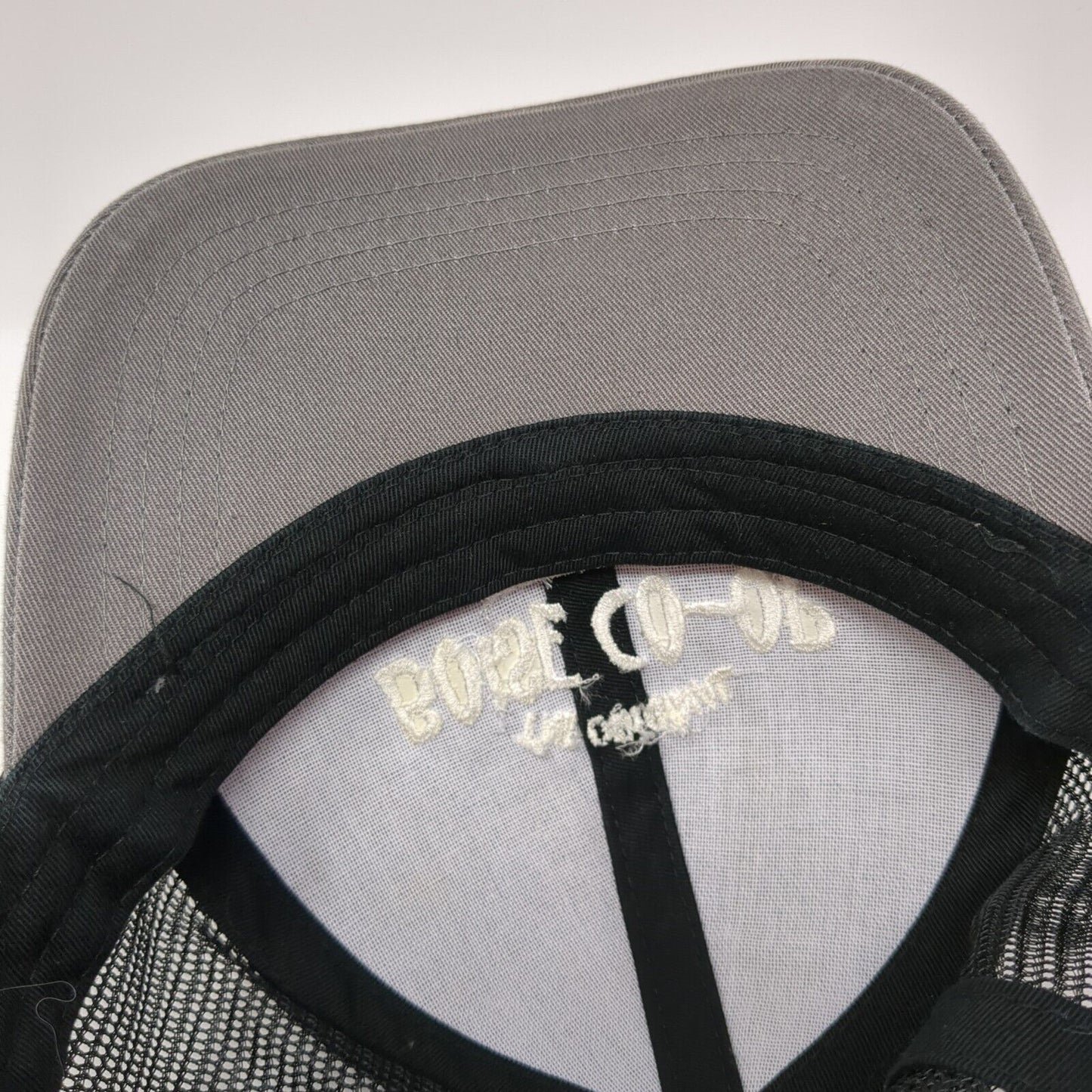 The Original Boise Co-op Since 1973 Snapback Trucker Hat Gray OS Mesh Back