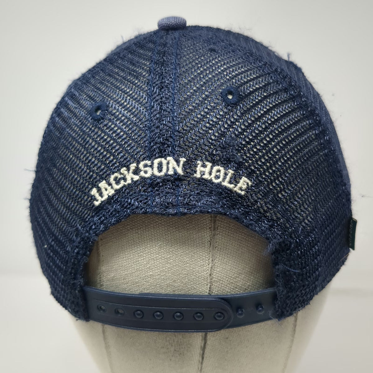 Legacy Trucker Hat Blue One Size Jackson Hole Wyoming Bronco Snapback Mesh