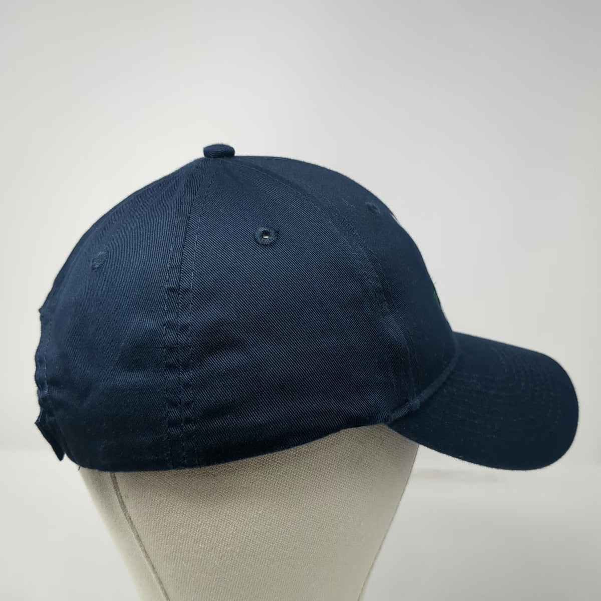 Port & Company Baseball Cap Blue One Size Strapback Eagle Mountain Forest Hat