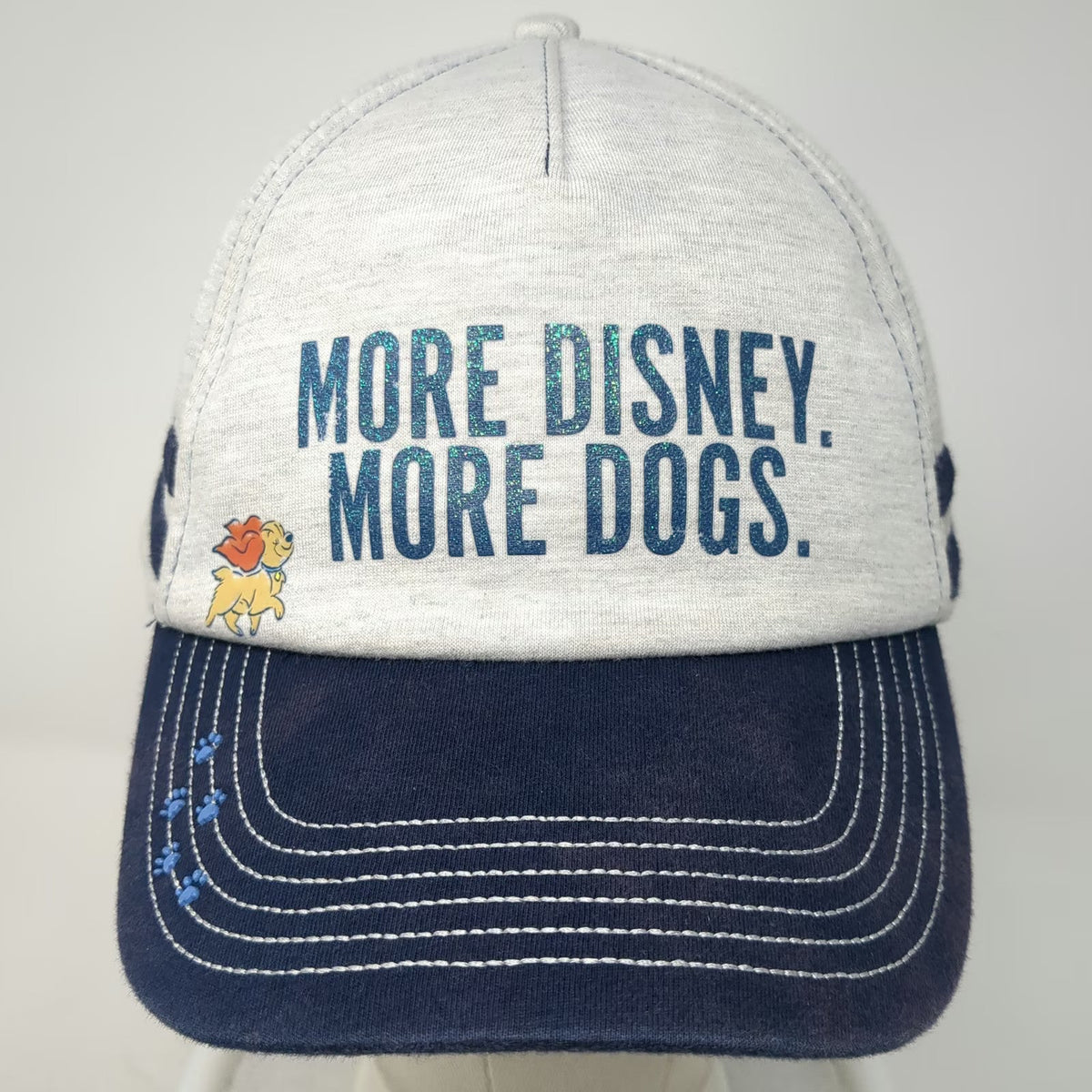Disney 5 Panel Gray Blue One Size More Dogs Lady Snapback Hat Glitter Tramp Paw