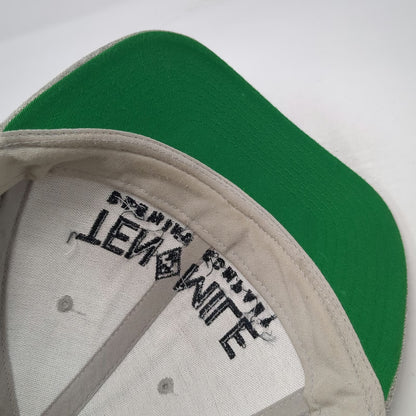 Yupoong Snapback Hat Gray One Size Ten Mile Brewing Company Green Underbrim Wool