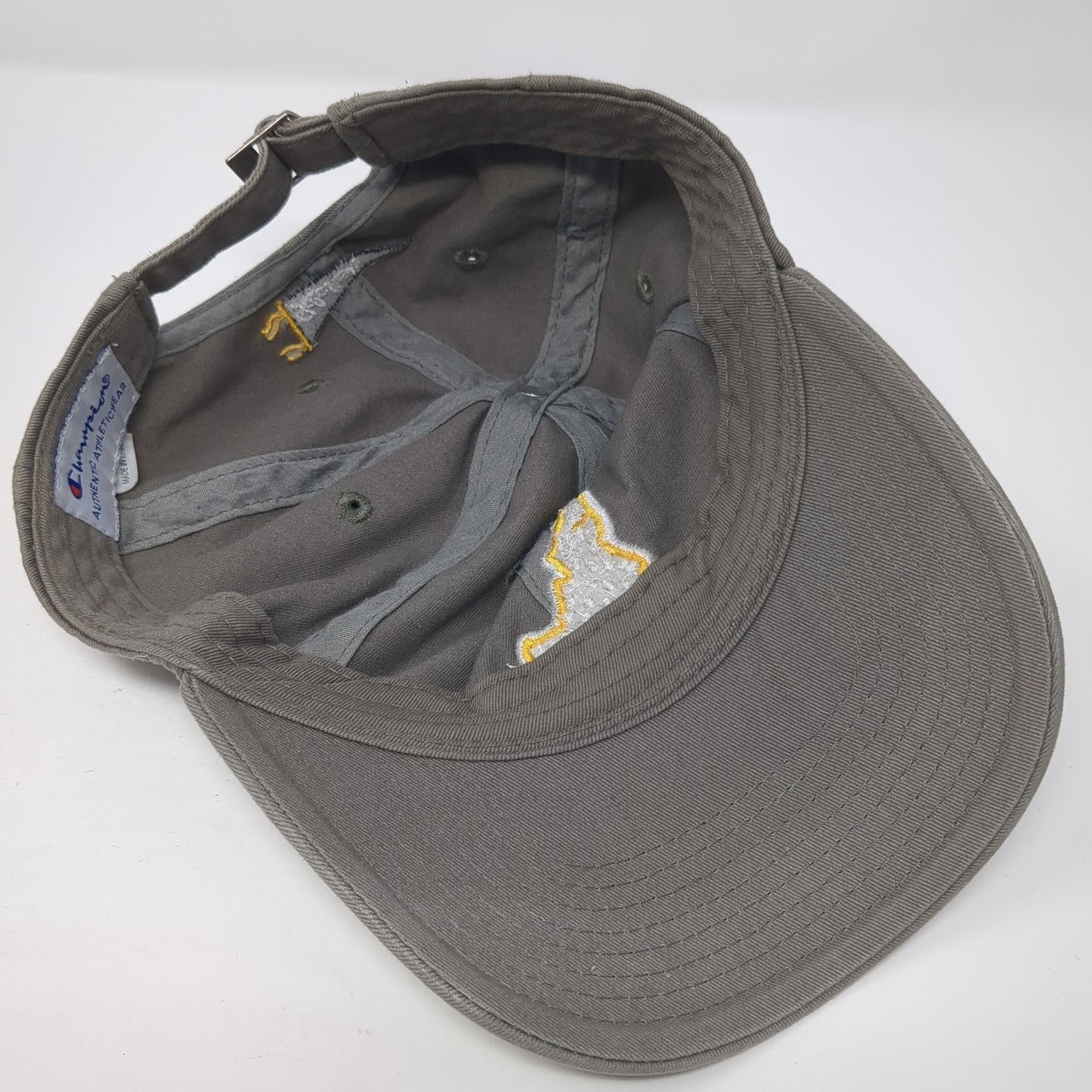 Idaho Slideback Baseball Cap Brown One Size Adjustable Embroidered Champion
