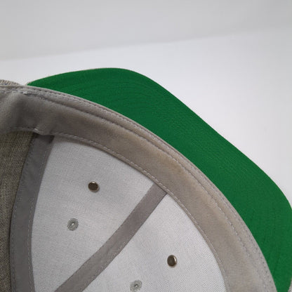 Washington Hop Thief Taphouse Evergreen State Snapback Hat Gray OS City Locs