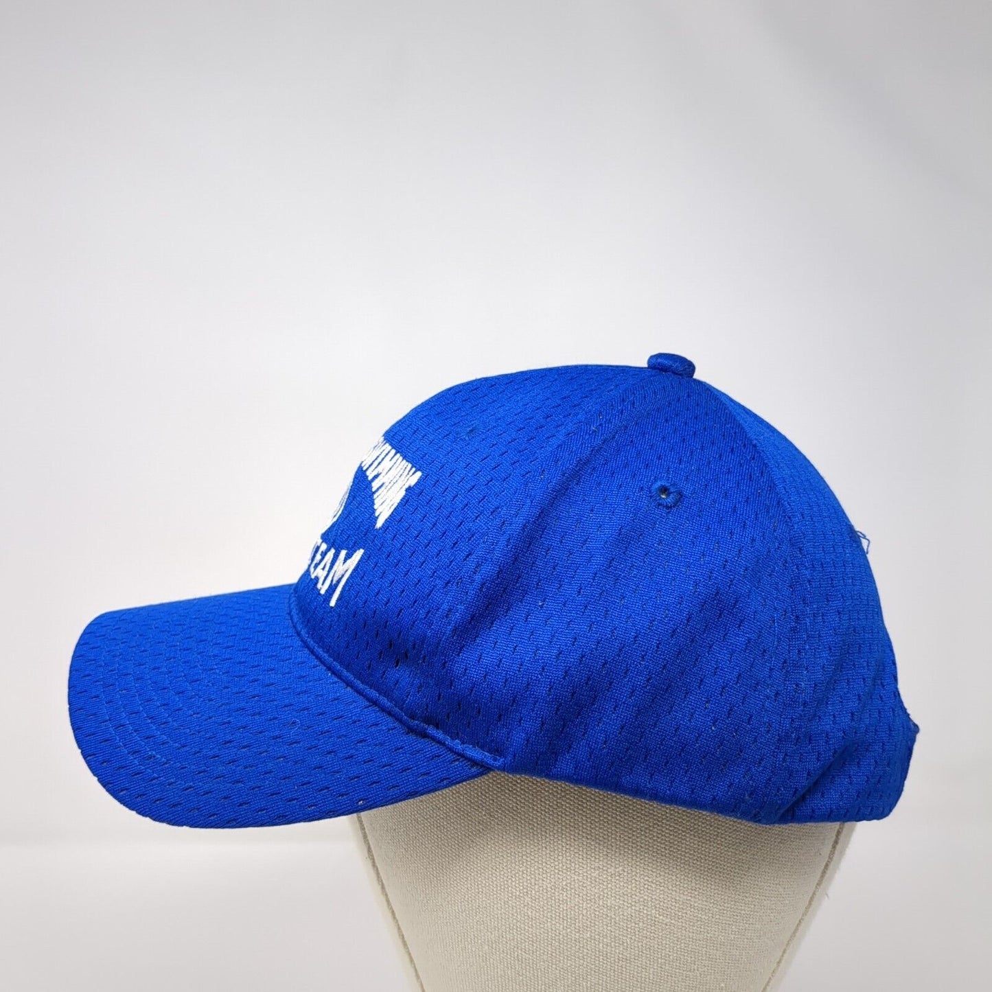 Snake River Swimming Zone Team Youth Strapback Hat Blue One Size Port Authority