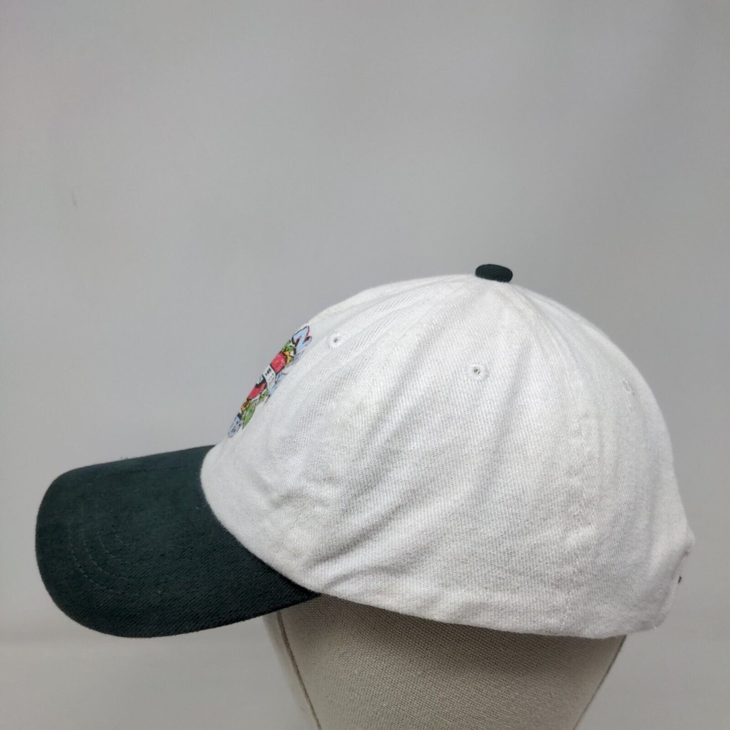 Guns N' Roses Slideback Hat Multi One Size Colorblock 6 Panel Vent Holes