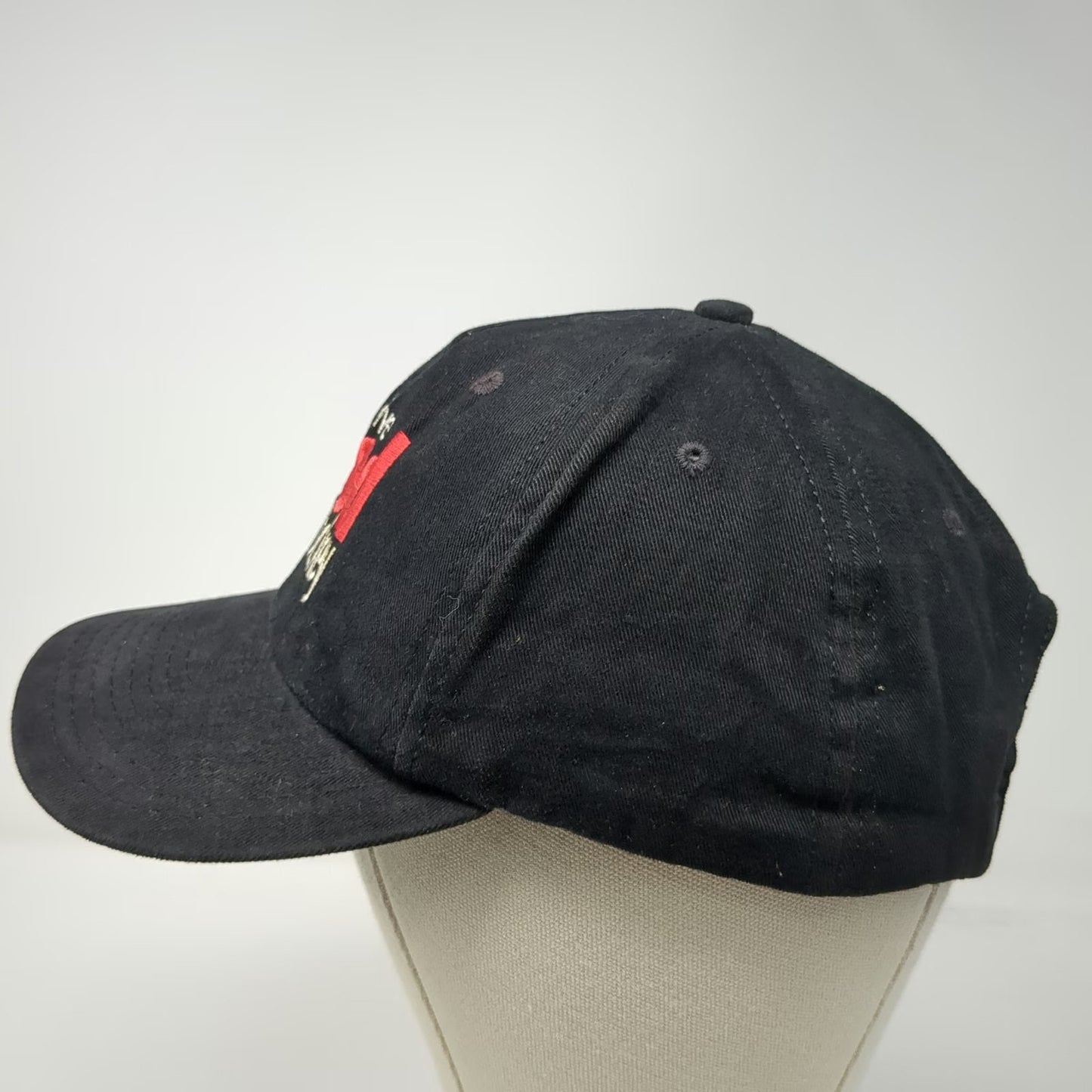 Paramount Snapback Hat Black Vintage Give Blood Play Hockey Green Underbrim