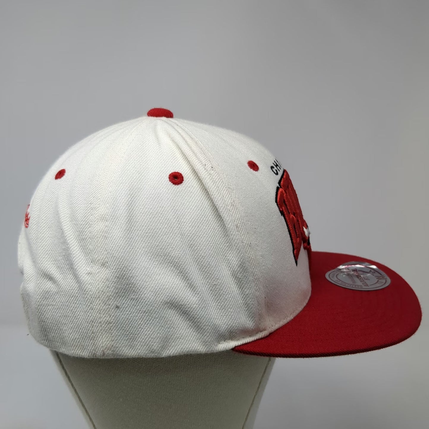 Mitchell & Ness Chicago Bulls NBA Snapback Hat White Red One Size Green Bottom