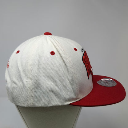 Mitchell & Ness Chicago Bulls NBA Snapback Hat White Red One Size Green Bottom