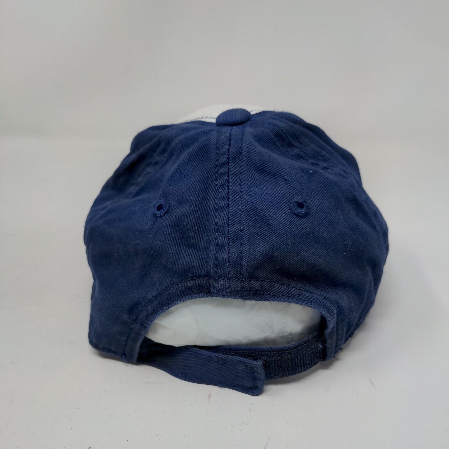 Make Some Noise Toddler Strapback Hat Blue 12-24 Month Embroidered Lion Gymboree