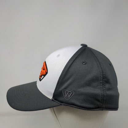 2017 College World Series Fitted Hat Gray One Size Embroidered Tow