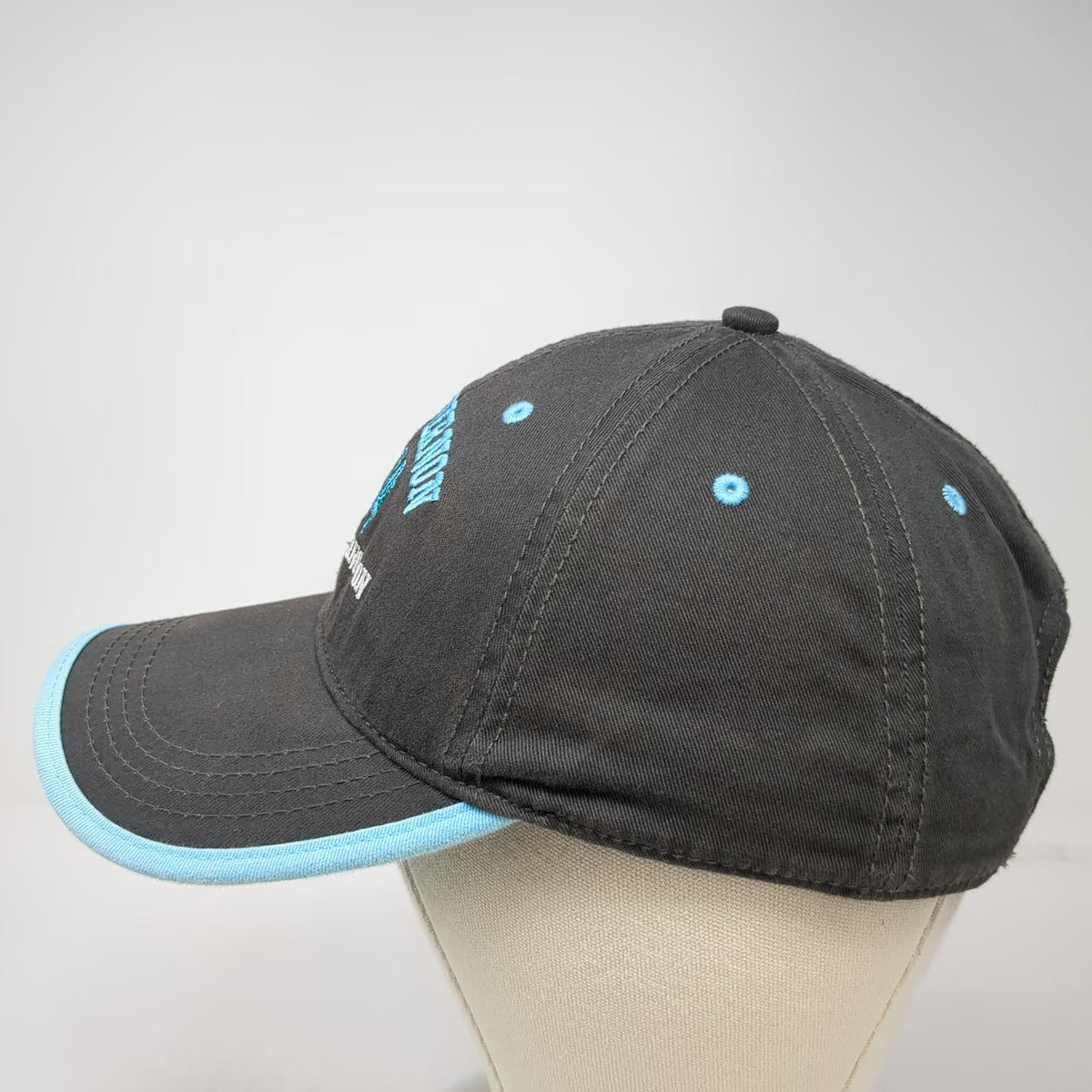 Port Authority Mount Vernon George Washington Hat Gray Baseball Cap One Size