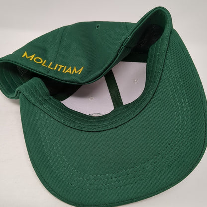 Mollitiam Horse Fitted Hat Green Large Embroidered Colorblock 6 Panel