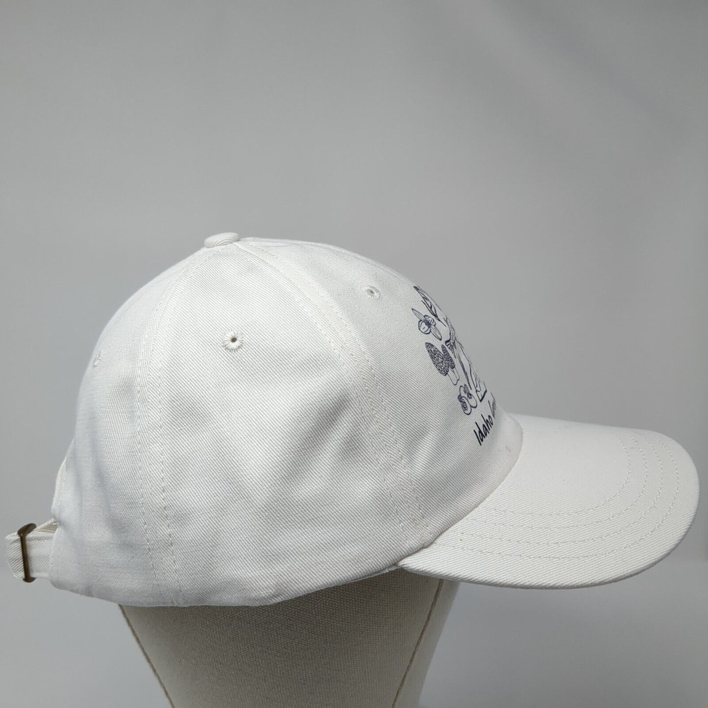Idaho Grown Democrat Slideback Hat White One Size Adjustable Unionwear