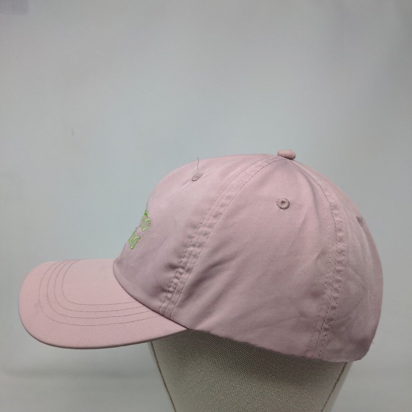 Be Kind To Your Mind Slideback Hat Pink One Size Embroidered Culture Fly