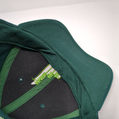 Idaho Forest Trees Strapback Hat Green OSFA Embroidered Richardson