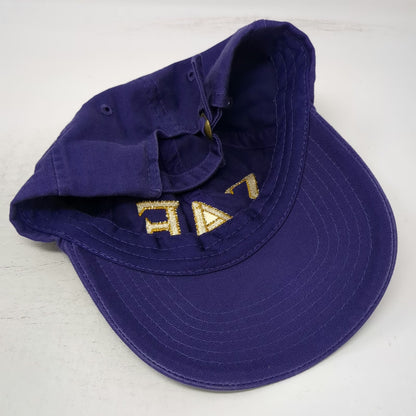 Purple Yellow Baseball Cap One Size Slideback SAE Sigma Alpha Epsilon Hat Cotton