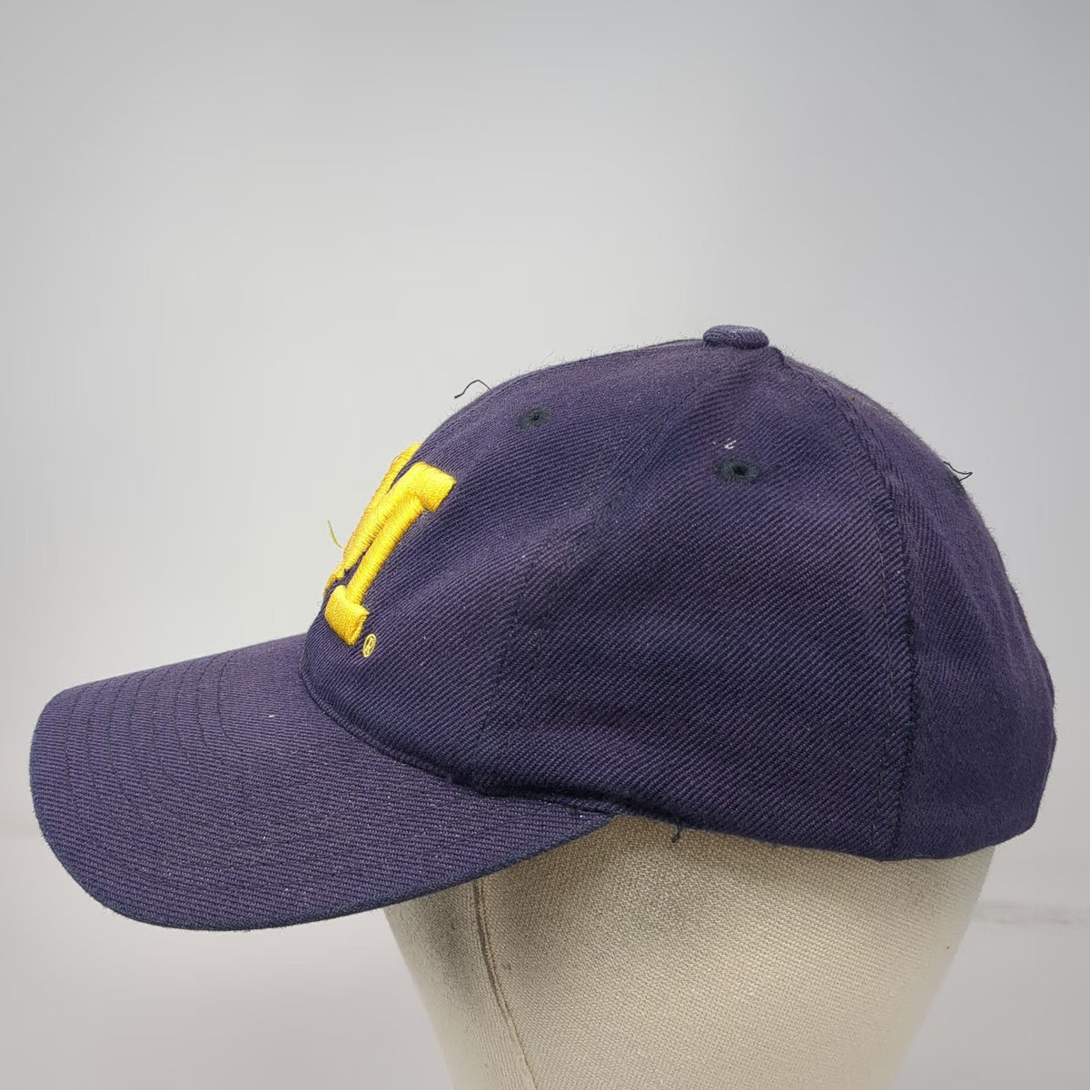 Michigan Wolverines NCAA Logo Athletic Snapback Blue One Size Gray Undervisor