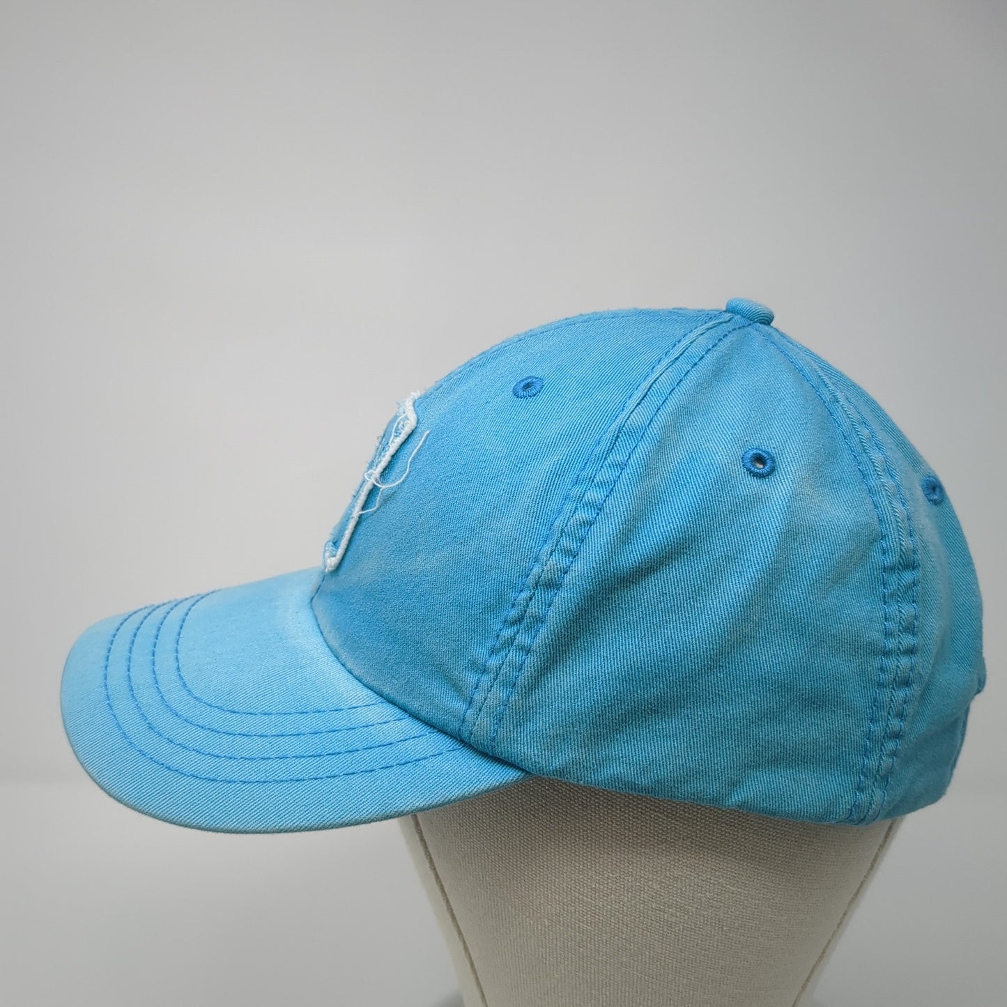 Lion Patch Slideback Hat Blue One Size Adjustable American Dry Goods