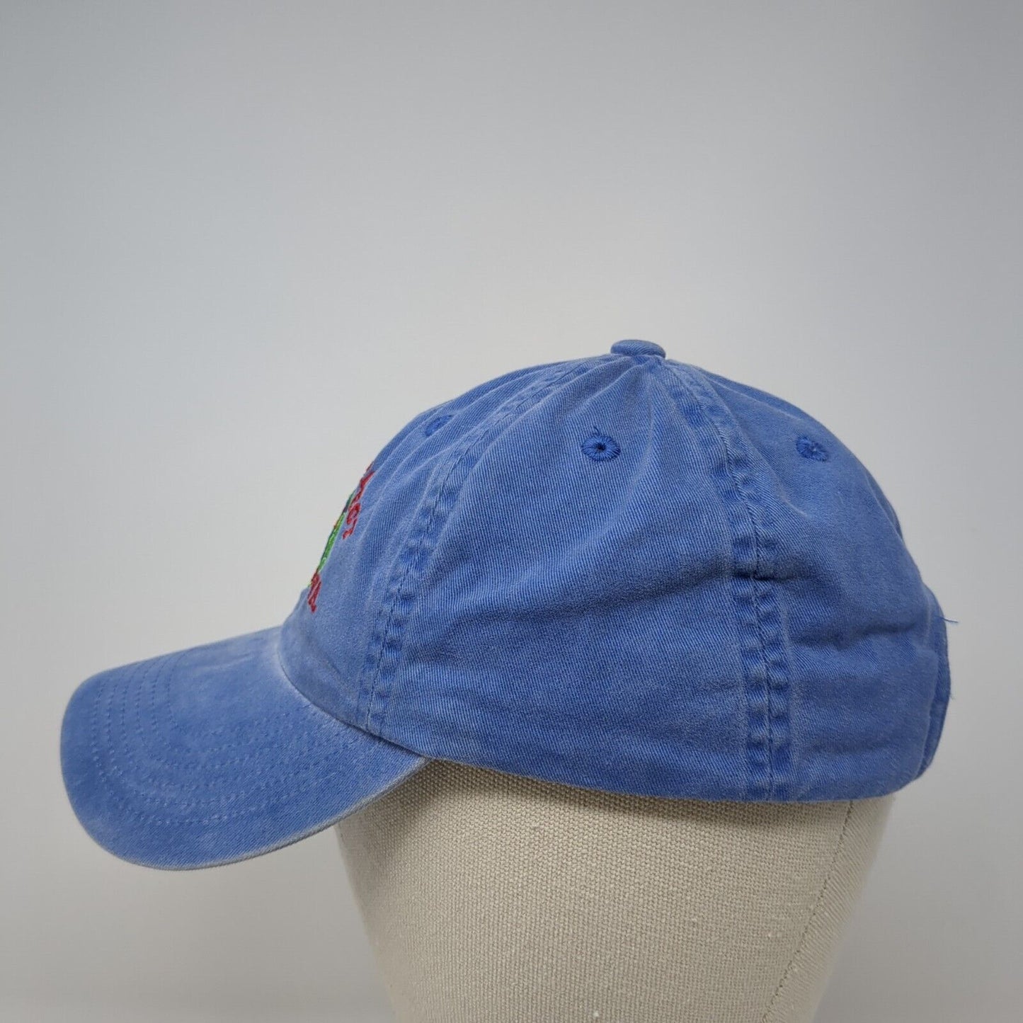 Planet Project 2003 Ephrata WA Slideback Hat Blue One Size Adjustable