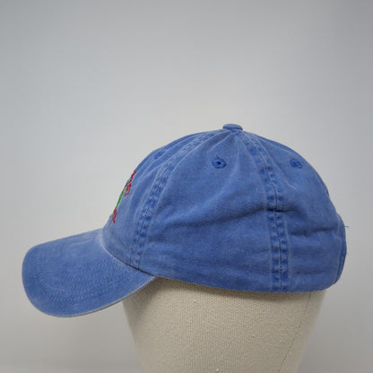 Planet Project 2003 Ephrata WA Slideback Hat Blue One Size Adjustable