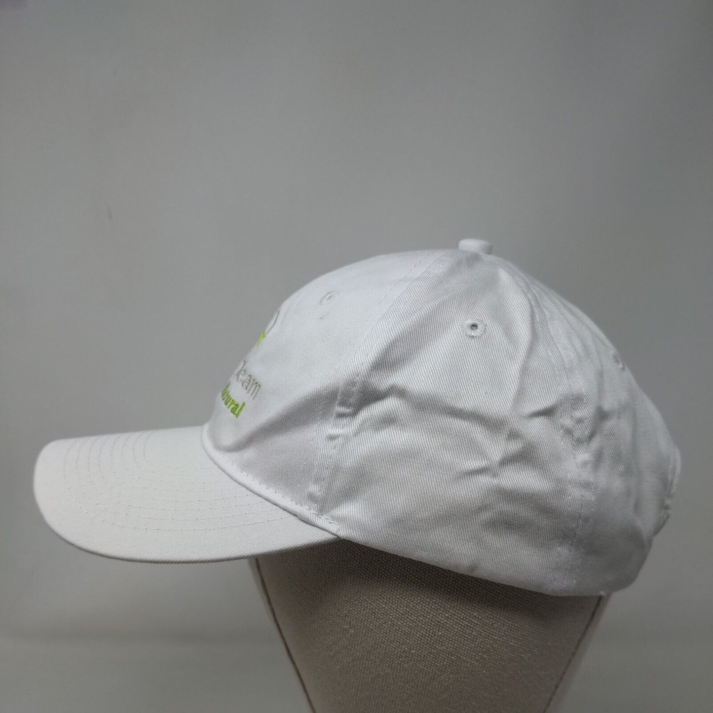 Verde Steam Powerfully Natural Strapback Hat White One Size Embroidered