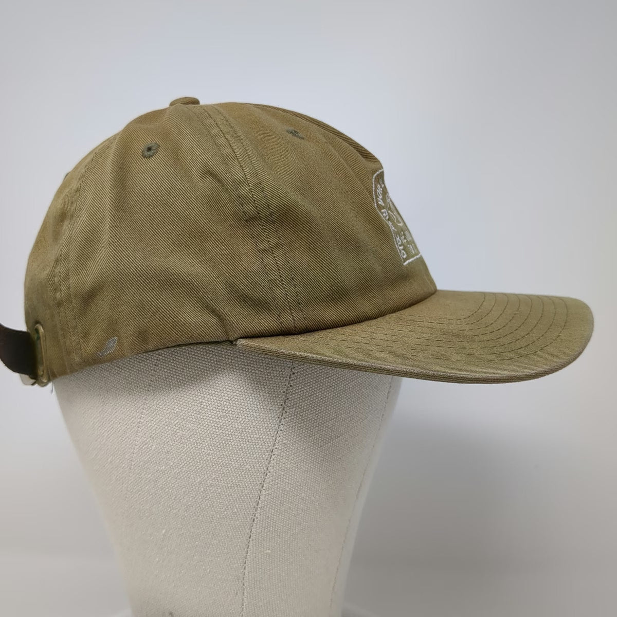 Everlane You Know Baseball Cap Green OSFM Leather Strapback Be Kind Globe Hat
