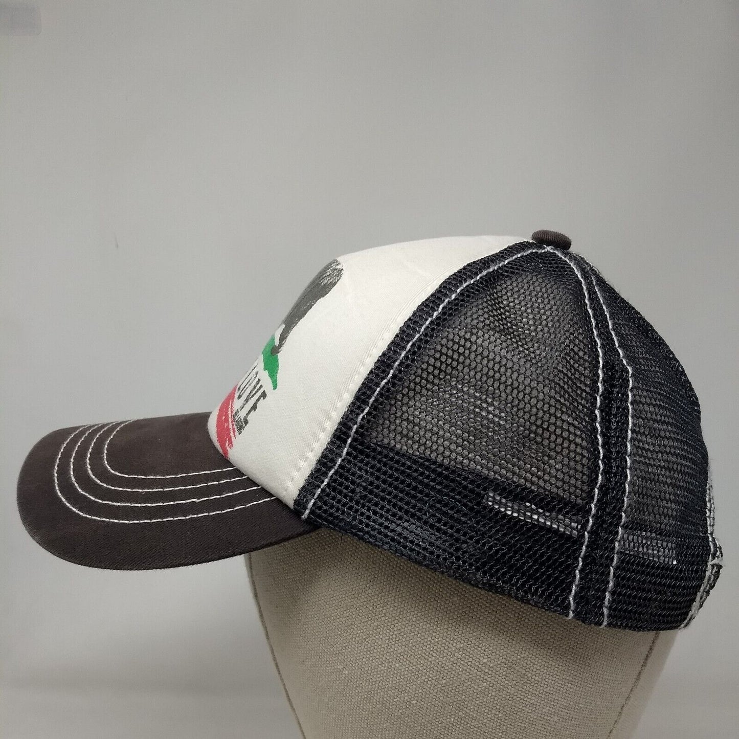 California Love Bear Snapback Trucker Hat Multicolor OSFA Billabong