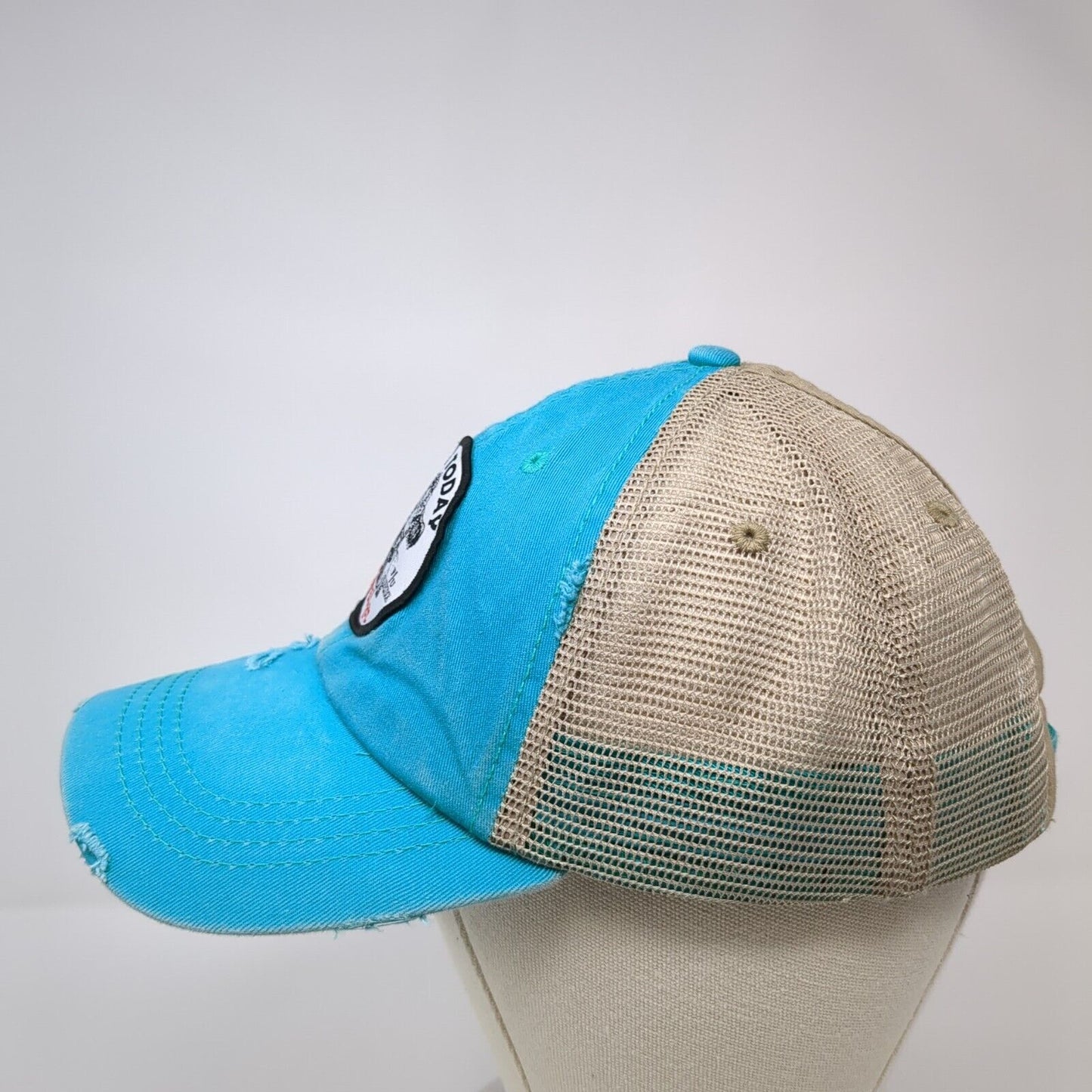 Not Today Heifer Ponyback Trucker Hat Multi OS Adjustable Distressed KB ETHOS