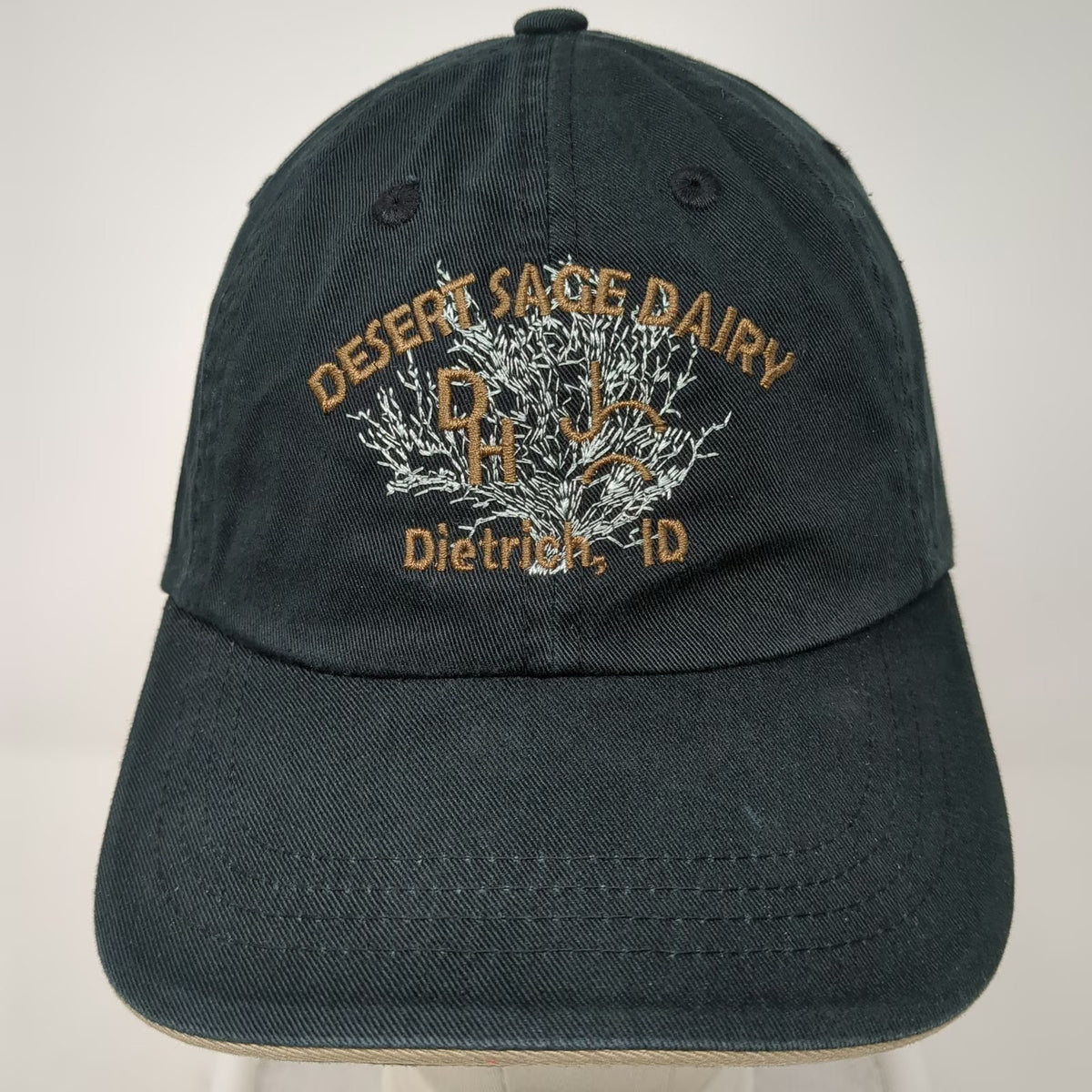 Port Authority Baseball Cap Black One Size Desert Sage Dairy Dietrich ID Hat