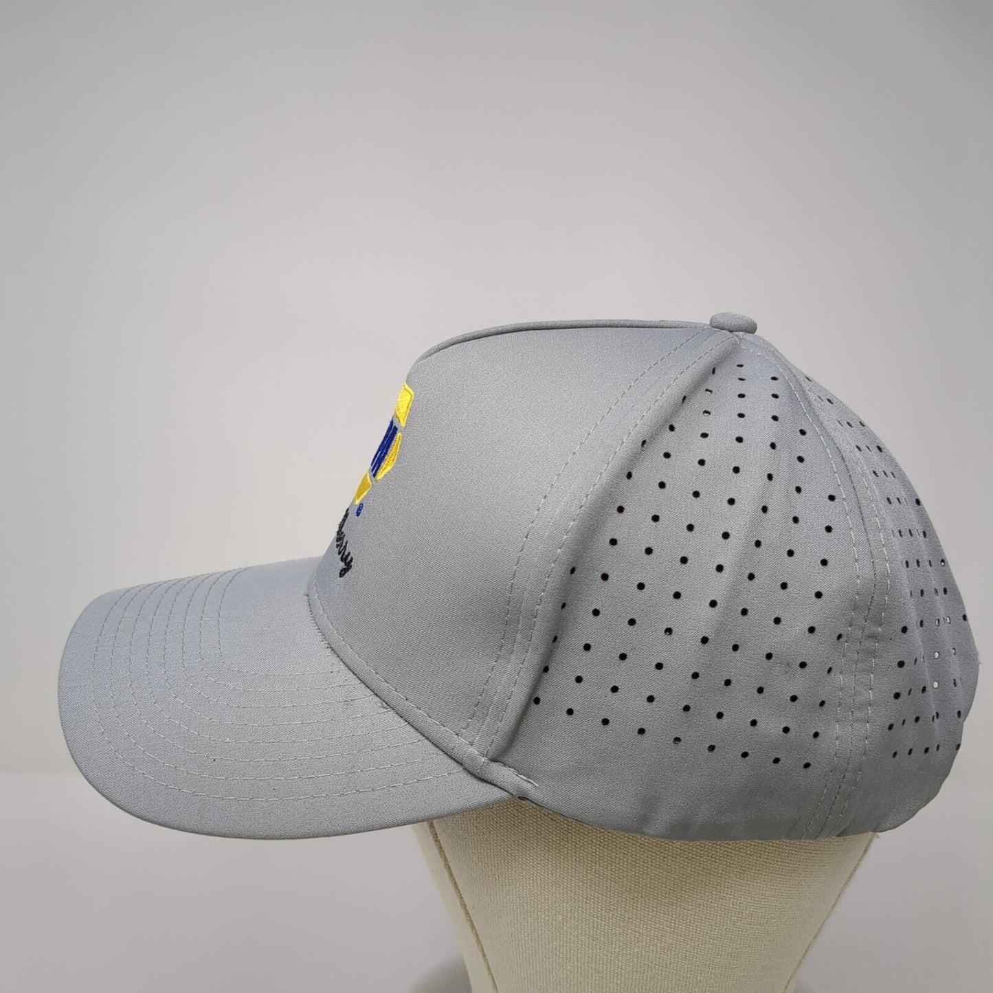 NAPA Casselberry Snapback Hat Gray One Size Adjustable Embroidered Hit Polyester