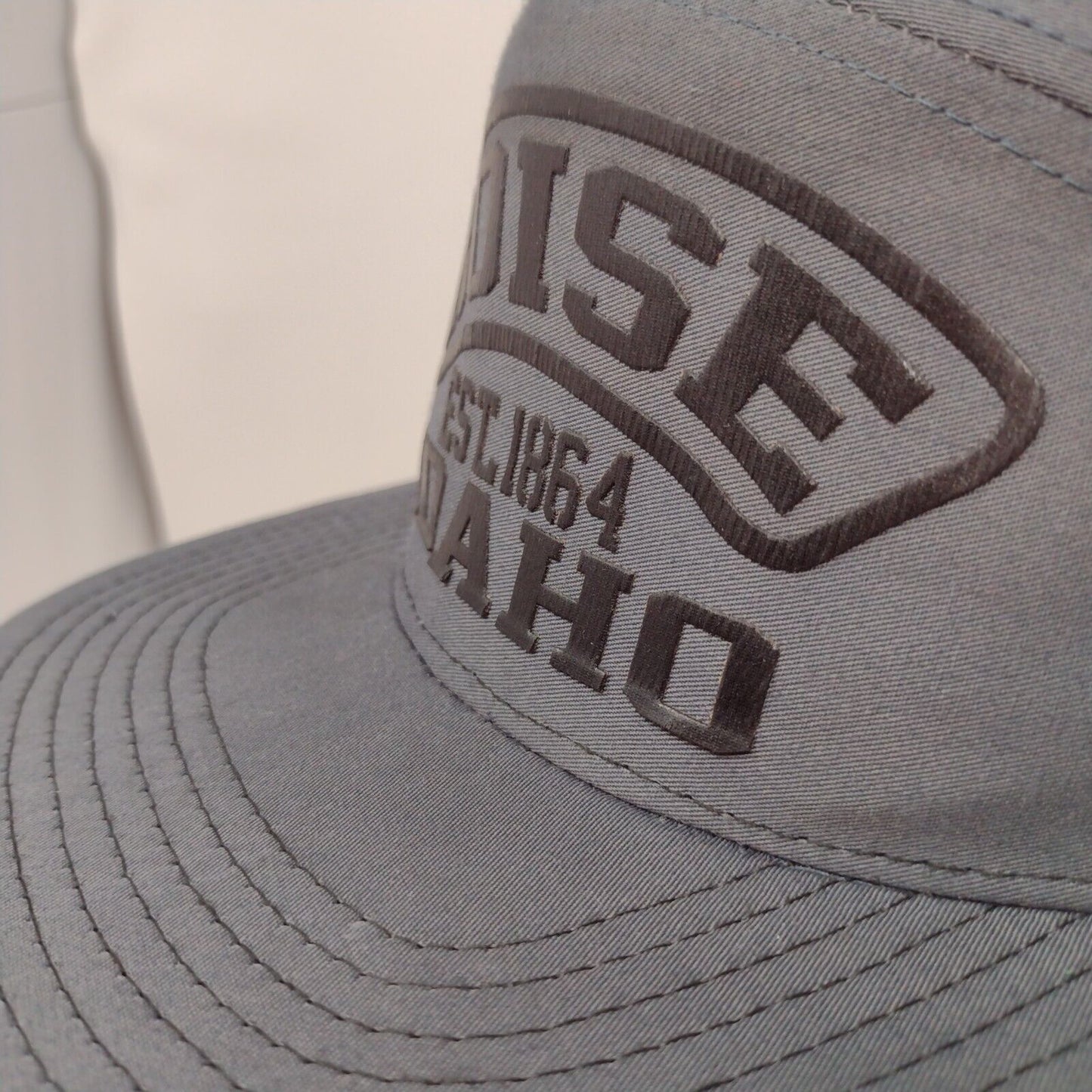 Boise Idaho Snapback Trucker Hat Gray OSFA Mesh Back Colorblock