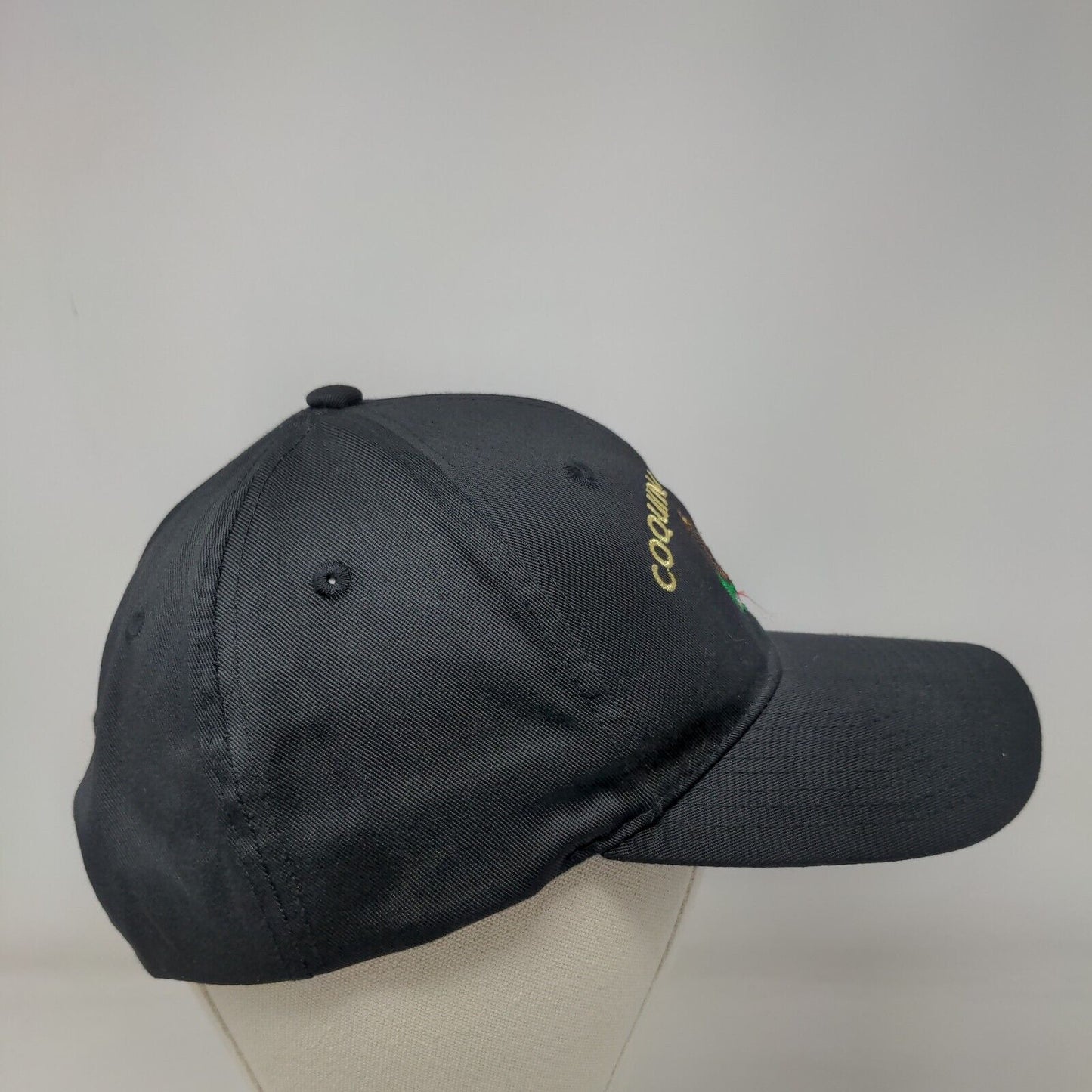 Coquina Veterans Snapback Hat Black One Size Embroidered Adjustable
