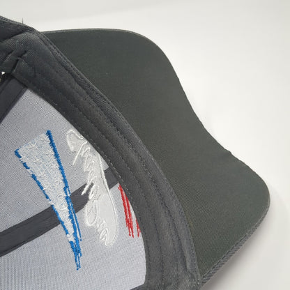 ShadePro RV Awnings 2020 Legacy Baseball Cap Gray One Size Adjustable Patriotic