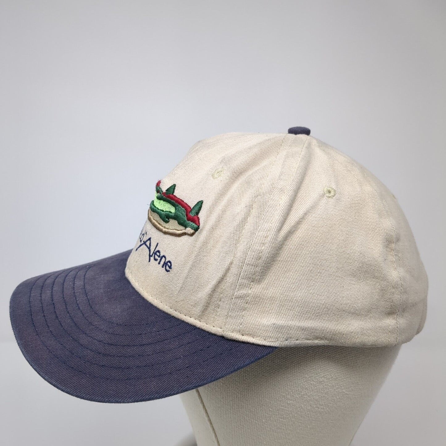 The Coeur d'Alene Slideback Hat Multi One Size Adjustable Legendary